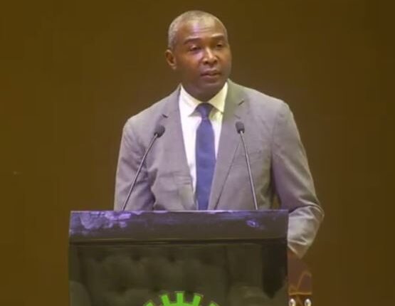 Nigeria Liquefied Natural Gas (NLNG)