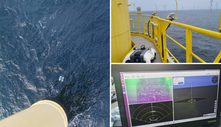 A.IKANBILIS Hovering Autonomous Underwater Vehicle (HAUV)