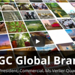 The National Gas Company of Trinidad and Tobago Limited (NGC)