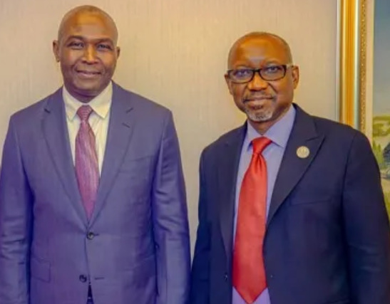Nigerian gas sector