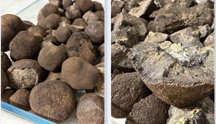 Glomar Minerals, LLC (Glomar Minerals)