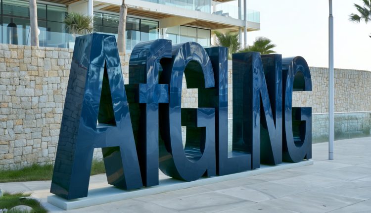 Africa Gas & LNG Summit (AfGLNG)